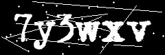 图形验证码