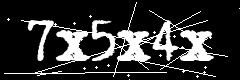 图形验证码