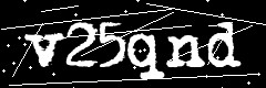 图形验证码