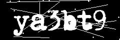 图形验证码